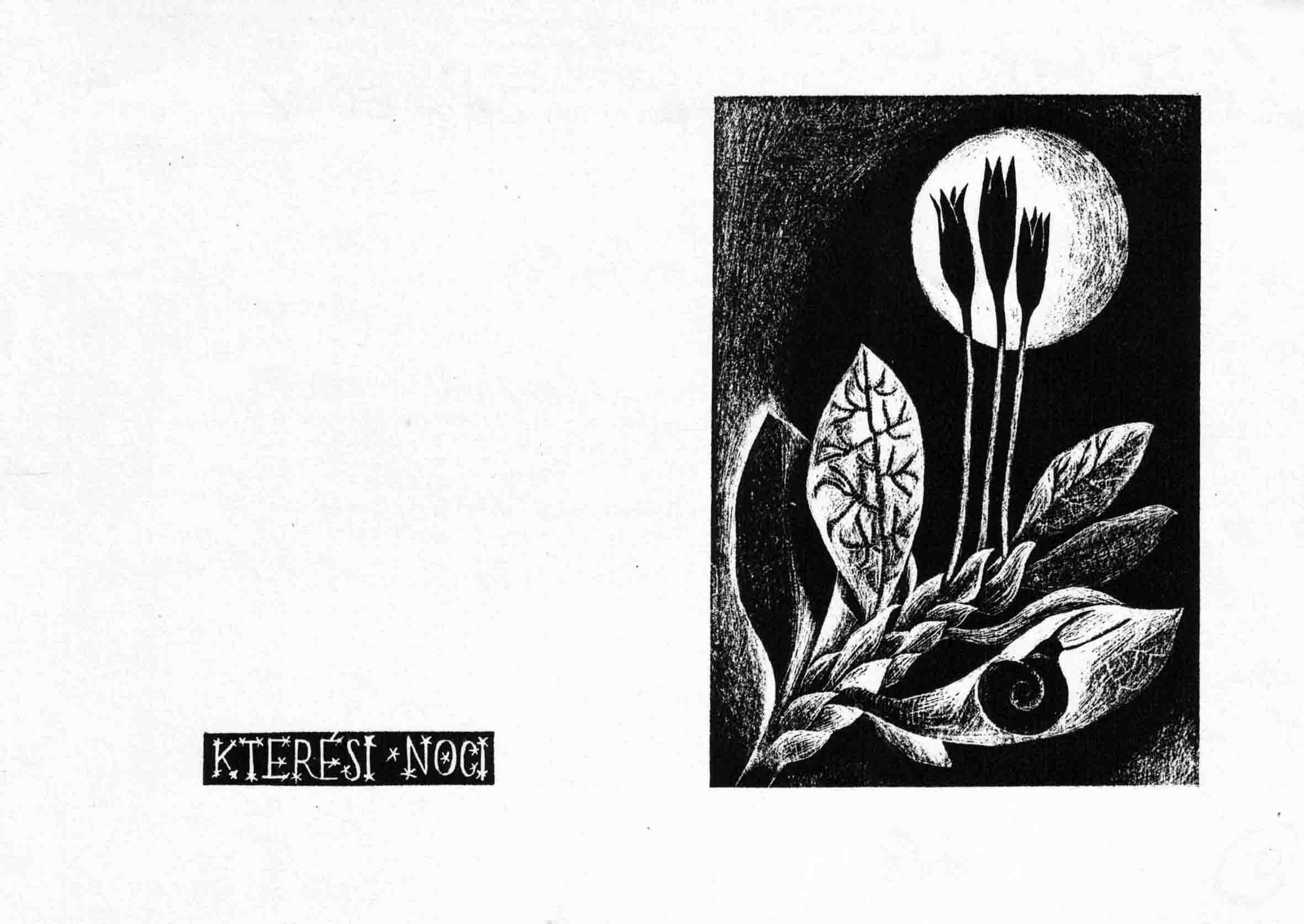 ilustrace Oty Janeka